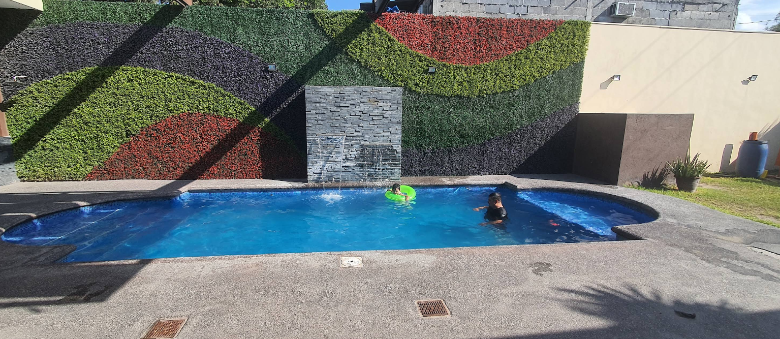 Mural de la alberca